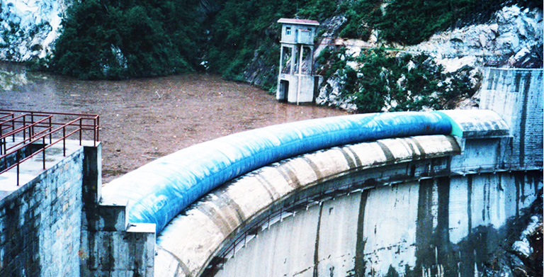  Arc-Shaped Rubber Gate